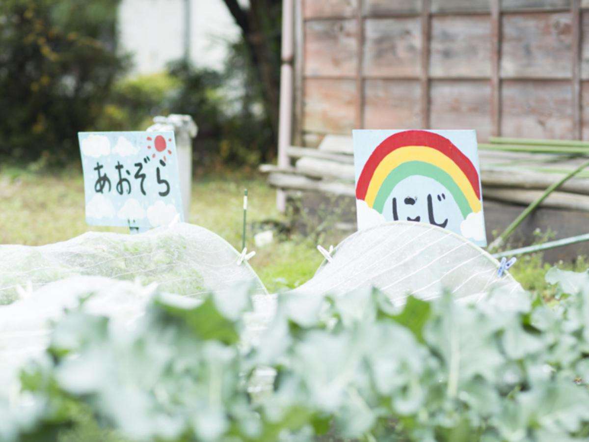 アスク七光台保育園の調理補助（アルバイト・パート）資格なしOK