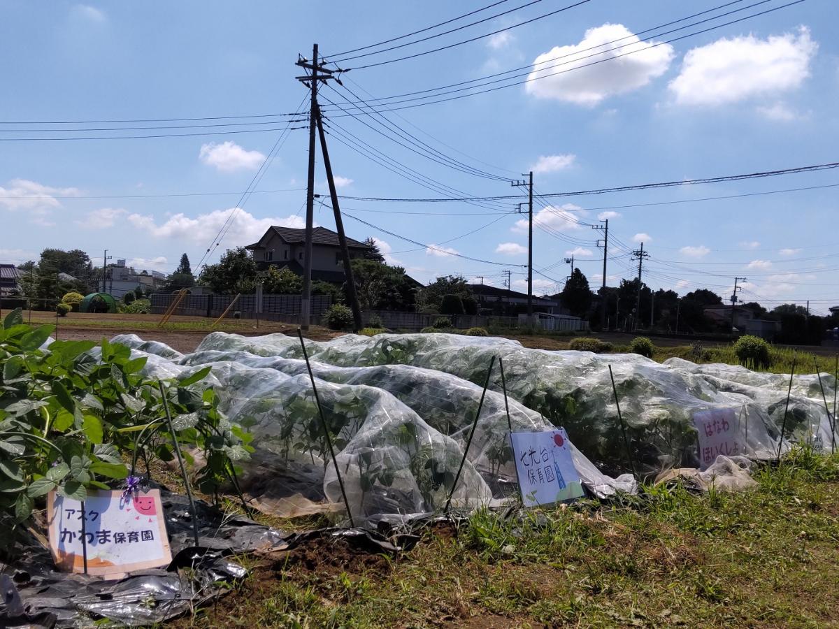 アスク七光台保育園の保育士アルバイト・パート（有資格）時給最大1,840円＋手当あり！