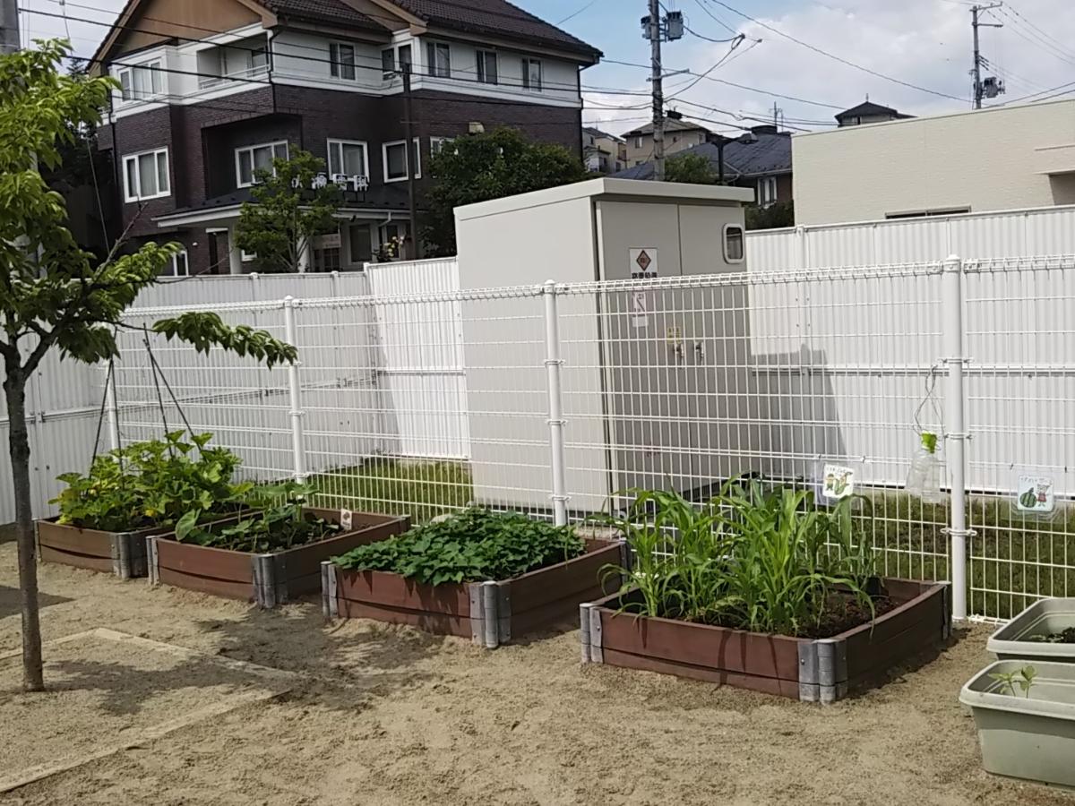 アスク八乙女保育園の栄養士・調理師(正社員)