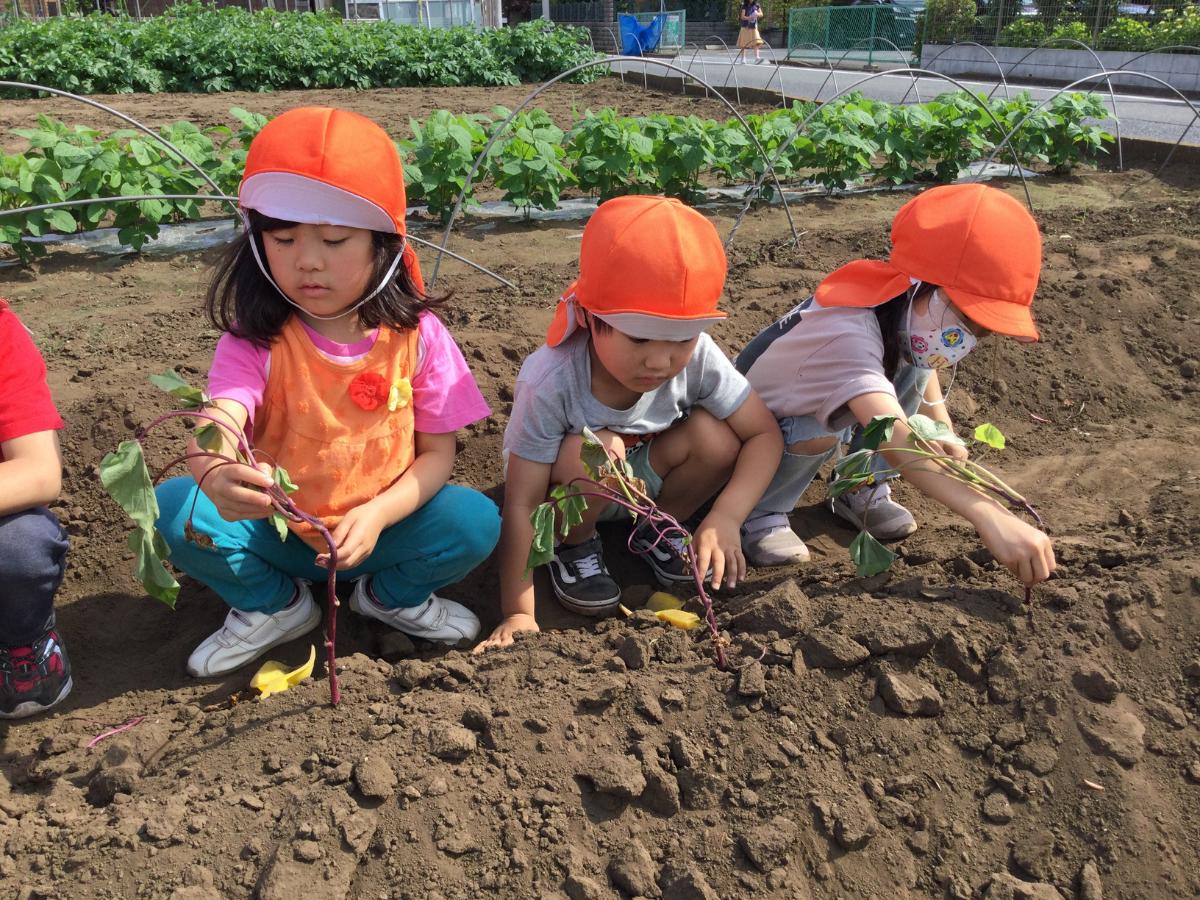 アスク大泉学園保育園の調理補助（アルバイト・パート）資格なしOK