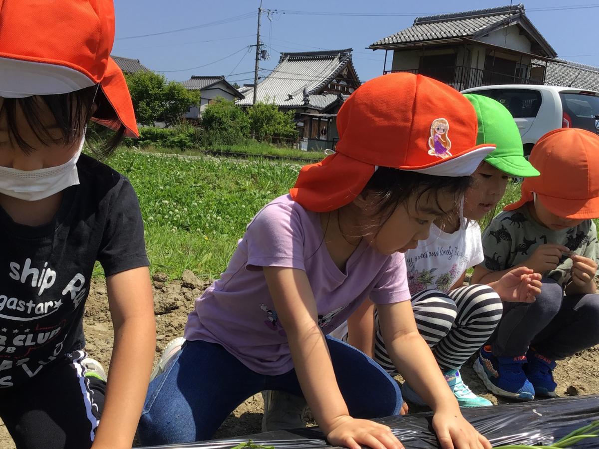 アスクわにこども園の栄養士・調理師(正社員)