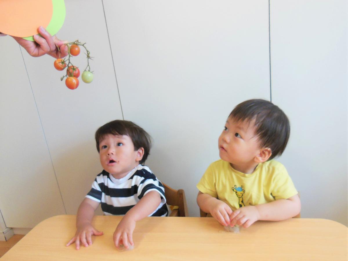 アスク勝どき保育園の調理補助（アルバイト・パート）資格なしOK