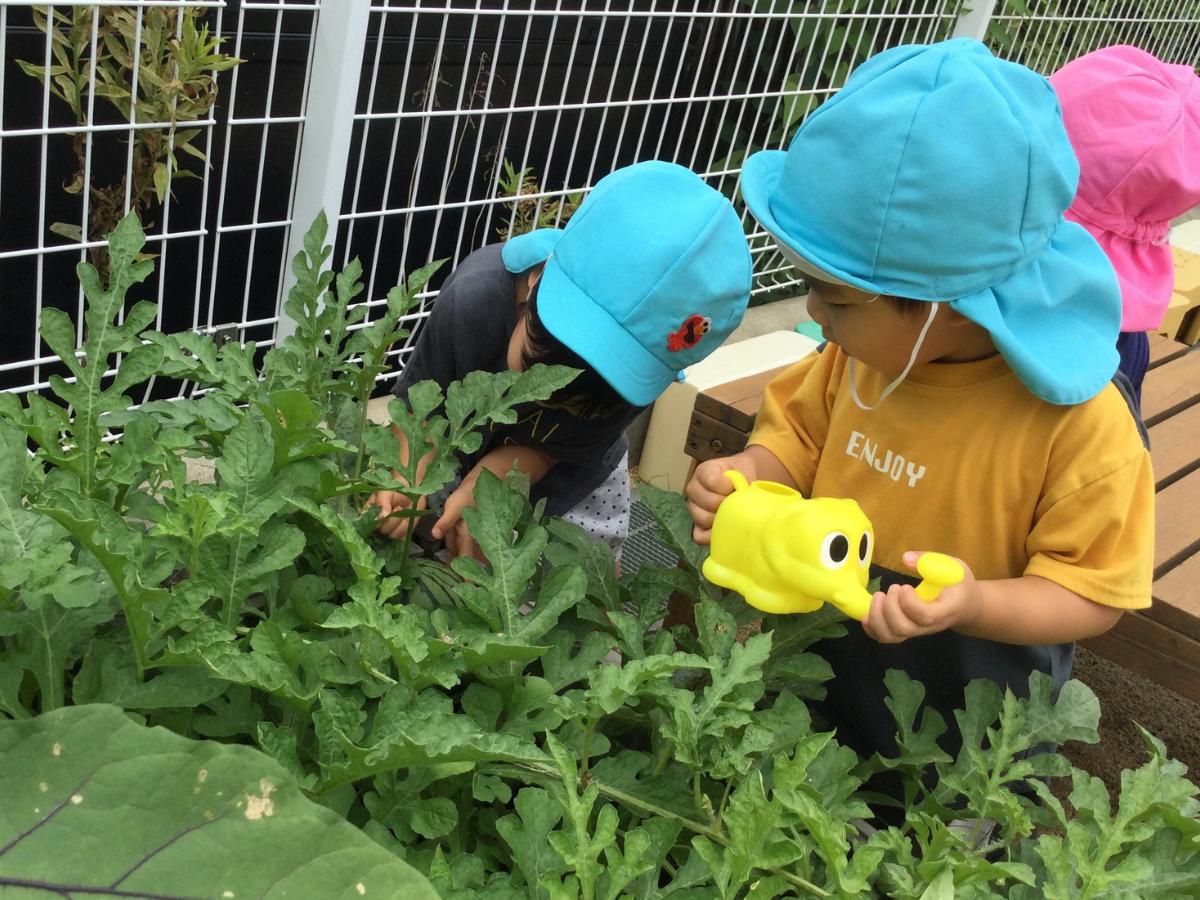 アスク長町南こども園の調理補助（アルバイト・パート）資格なしOK