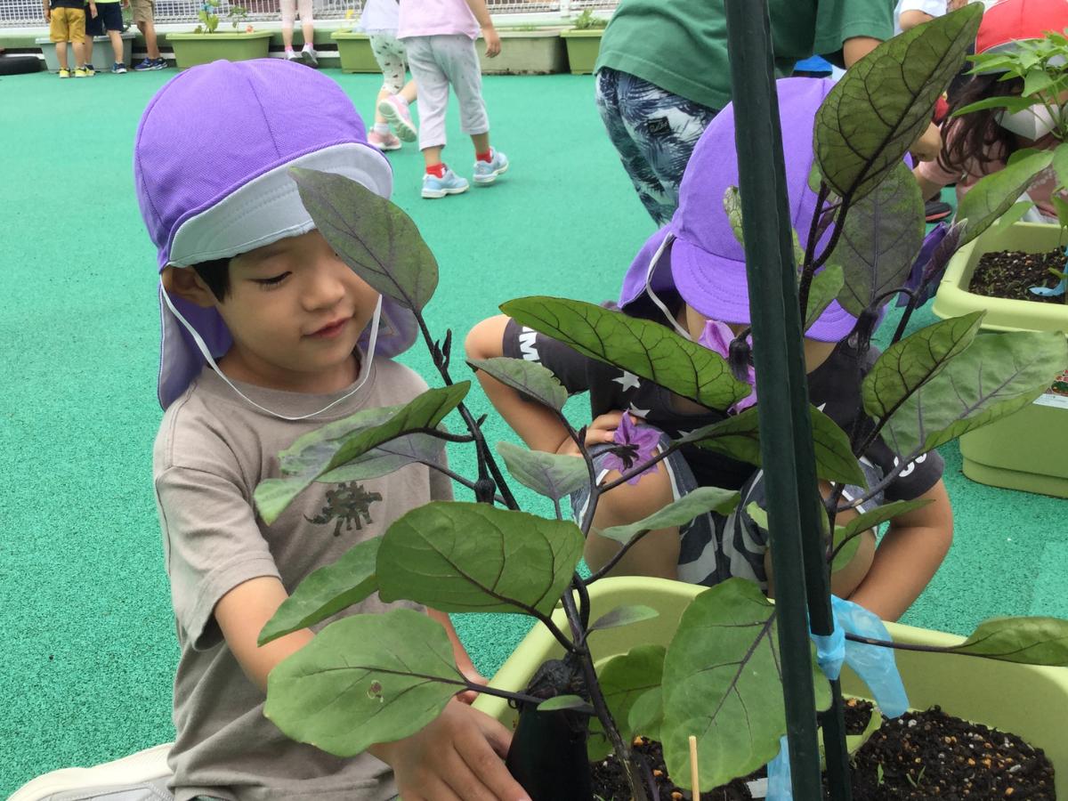 アスク池上保育園の調理補助（アルバイト・パート）資格なしOK